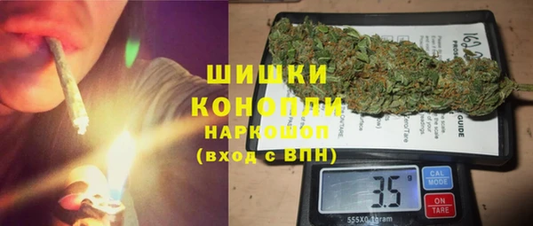 молекула духа Богородицк