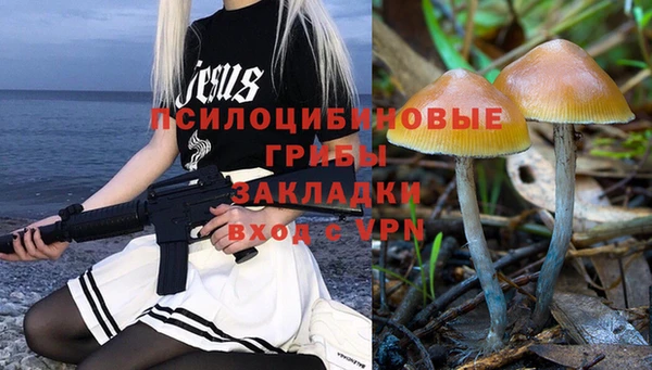 мяу мяу мука Богданович