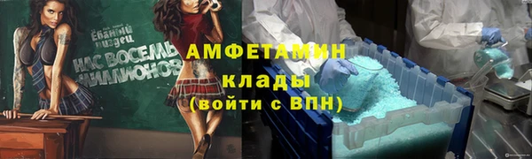 молекула духа Богородицк