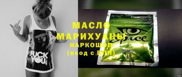 молекула духа Богородицк