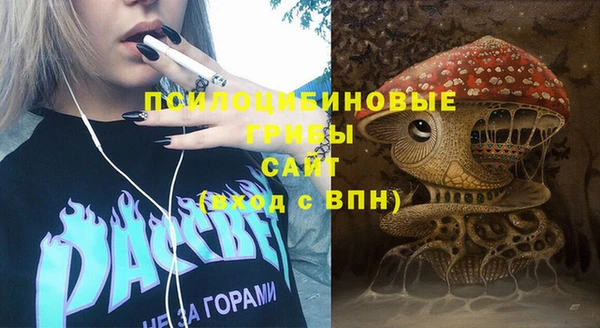 гидропоника Бугульма