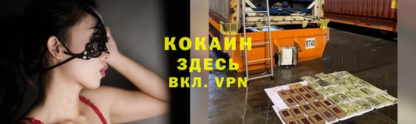 mdpv Богородск
