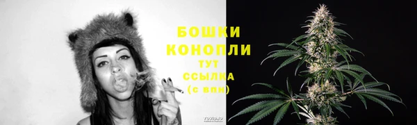 молекула духа Богородицк