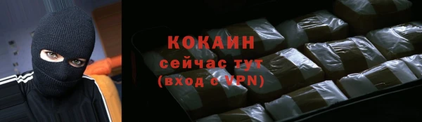 mdpv Богородск