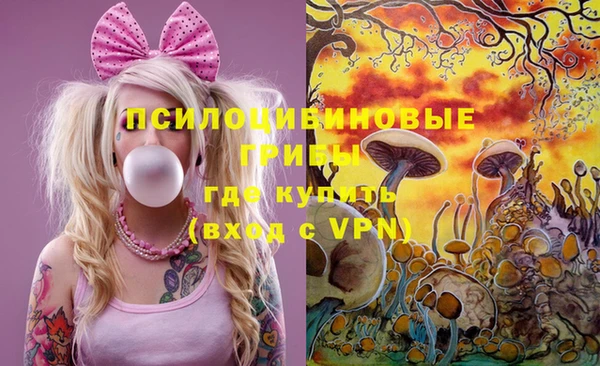 молекула духа Богородицк