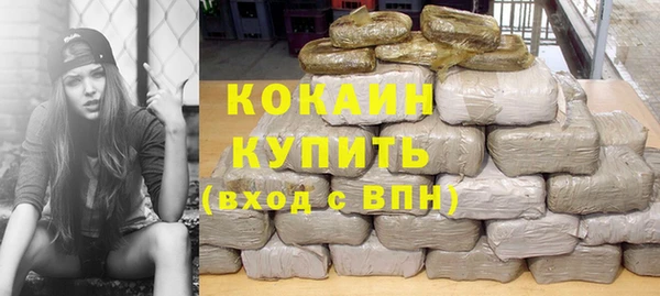 молекула духа Богородицк