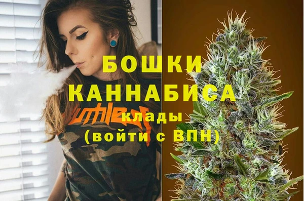 молекула духа Богородицк