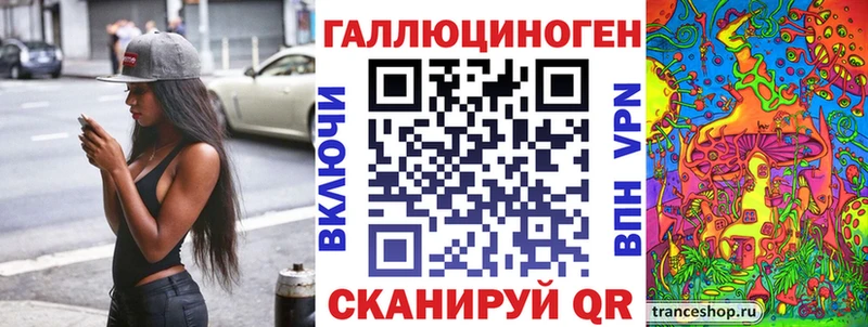 Псилоцибиновые грибы Psilocybe  Костерёво 